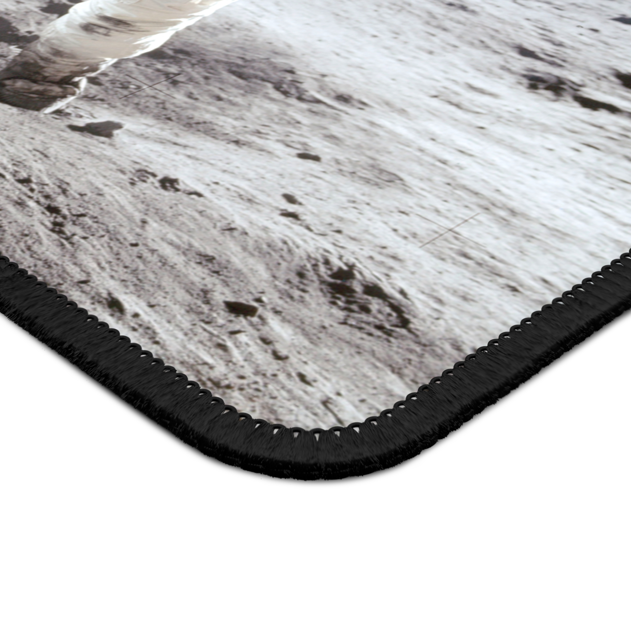 NASA Astronaut (Buzz) Aldrin, Jr. 1969 Moon Landing - view 4